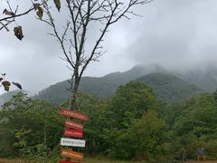 -大九湖