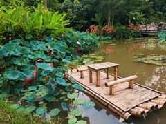 -中国科学院西双版纳热带植物园