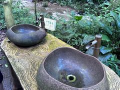 -莫里热带雨林景区