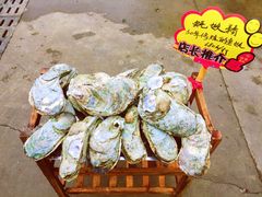 -蚝专家(北滘店)