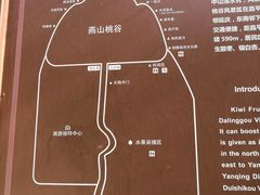 -大岭沟猕猴桃谷风景区