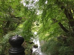 -成田山新胜寺