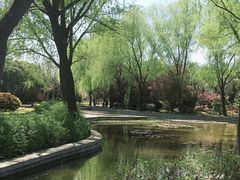 -洛阳市隋唐城遗址植物园