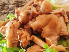 -云上珍野生菌(兴仁店)