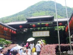 -藏龙百瀑风景区