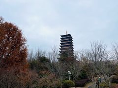 -牛首山文化旅游区