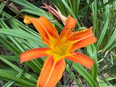 -苏州河梦清园环保主题公园