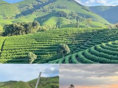 -阿露佳·舌尖上的安吉菜