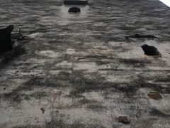 -石潭村