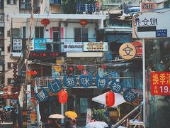 -猫咪博物馆(顶澳仔猫街店)