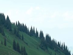 -新疆那拉提国家旅游度假区