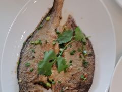 -厝包四点金·潮宴(太古仓店)