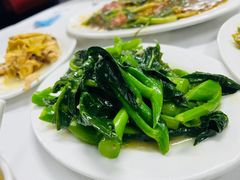 -新陶陶酒家