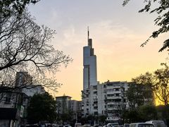 -紫峰大厦