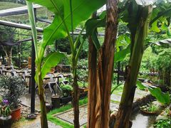 -心无尘茶餐馆(径山村店)