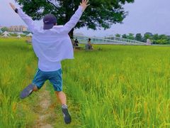 -艾米稻香小镇