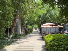 -白马涧龙池景区