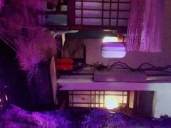 大堂-淀里船宴(卓达店)