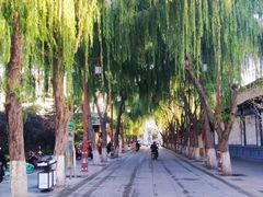 -张掖大佛寺景区