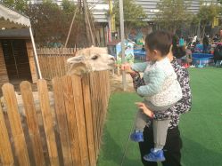 -萌宠亲子动物乐园(槐房万达店)