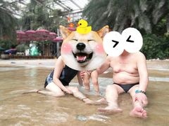 -龙达温泉生态城