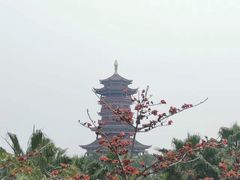 -厦门园林博览苑