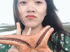 -库塔海滩