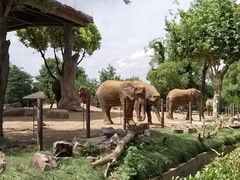 -上海野生动物园