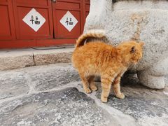 -北京凤凰岭
