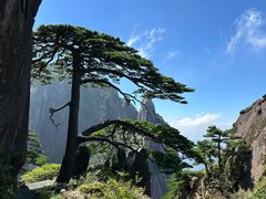 -黄山风景区