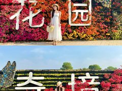 -光明小镇欢乐田园