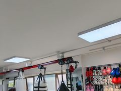 -M.S拳击泰拳馆(大学路店)