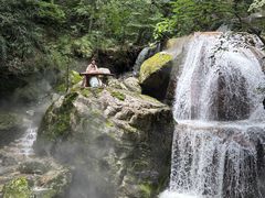 -牛背梁国家森林公园