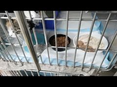 -达爱动物医院·犬猫分区·CT·复杂眼科(远洋山水分院)