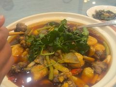 野生甲鱼锅-高坎一品甲鱼庄(两河店)