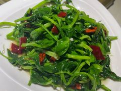 -锦庐道地川菜(来福士店)