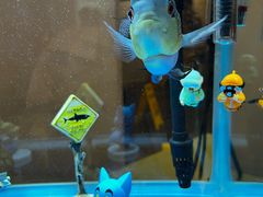 -和美电影艺术中心(万国城店)