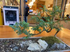 -王春春鸡汤饭(成都城西优品道店)