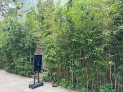 -天水蔬食料理(树德之光店)