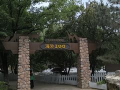-北京市海淀外国语实验学校