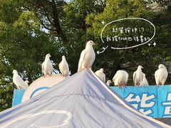 -海合安武汉极地海洋公园