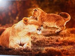 -罗红摄影艺术馆