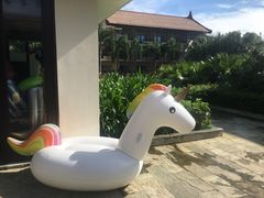 -三亚亚龙湾雅高铂尔曼别墅度假酒店