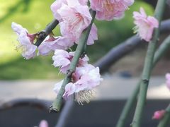 -静安雕塑公园
