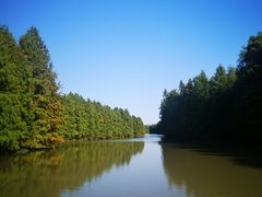 -上海海湾国家森林公园