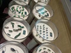 -陕西自然博物馆