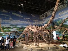-自贡恐龙博物馆