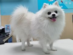 -宠颐生猫科·内科皮肤科(西平世纪城店)