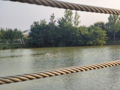 -西安浐灞国家湿地公园