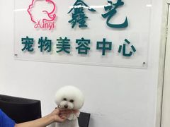 -鑫艺宠物美容培训学校